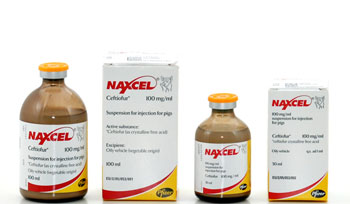 Naxcel