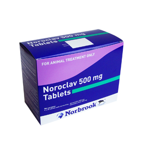 Noroclav
