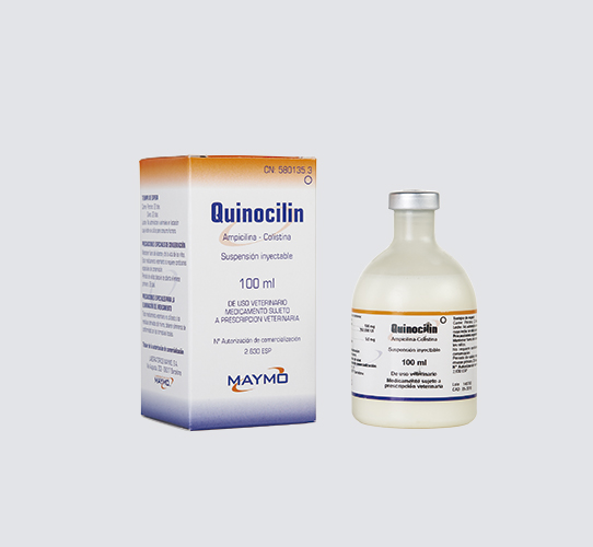 Quinocilin: