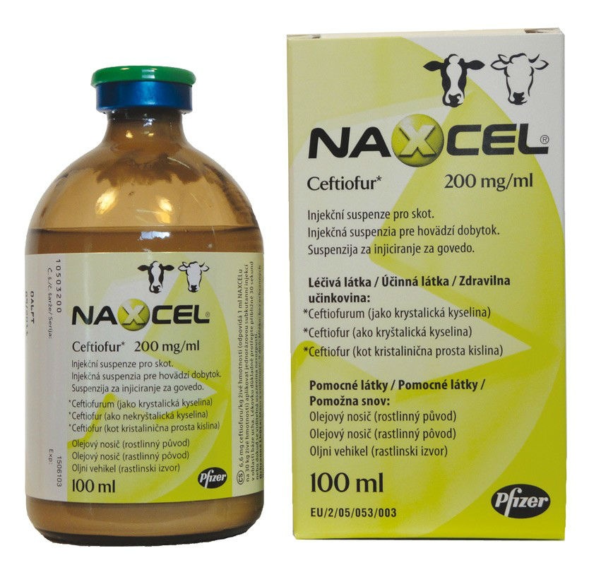 Naxcel