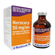 Norocarp