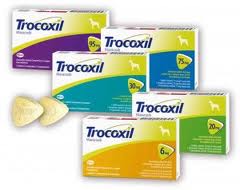 Trocoxil
